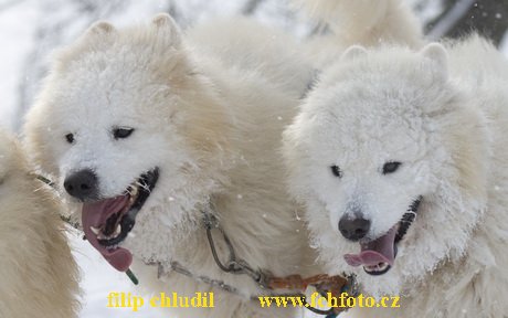 Tri studne zima 2009 - 1286.jpg